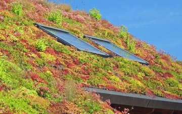 Wanshurst Green living roof systems